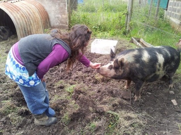 WWOOFer in the UK getting acquainted with the farm life