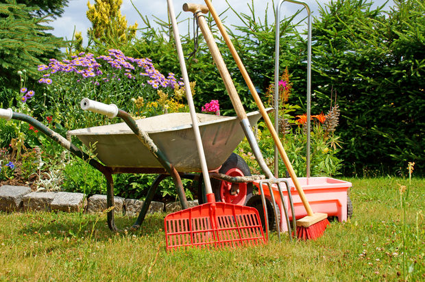 gardening