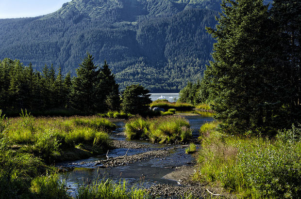 photo Mountain stream flowing through green valley with forested hills and rocky peaks in background under blue sky.