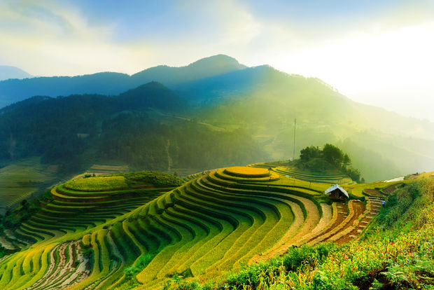 photo Golden terraced rice fields in mountainous landscape with bright sunlight and lens flare creating dramatic lighting effects.