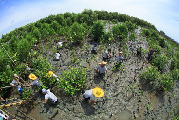 Volunteers