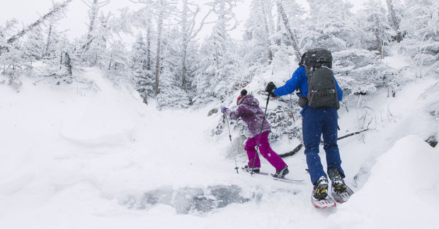 photo Two people snowshoeing through snowy winter landscape.