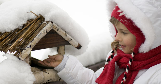 photo Child feeding birds at snowy bird feeder outdoors.