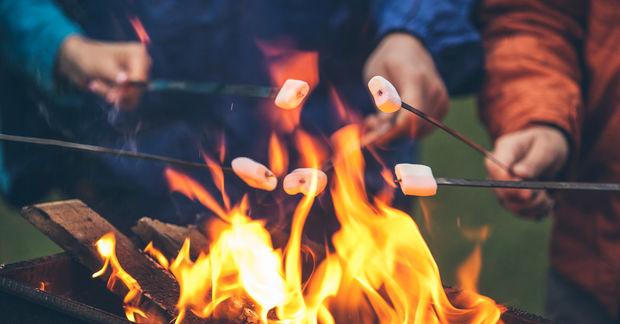 photo People roasting marshmallows over campfire.