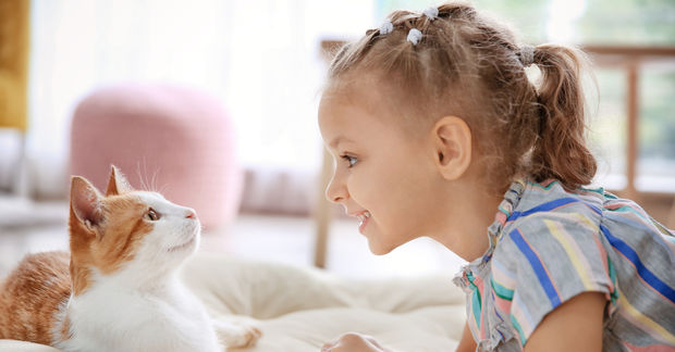 photo A smiling young girl with pigtails faces an orange-and-white cat nose to nose on a soft surface at home.