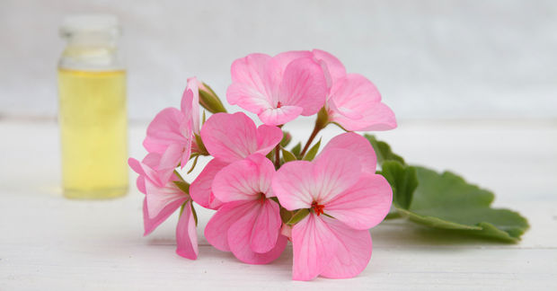 photo photo
