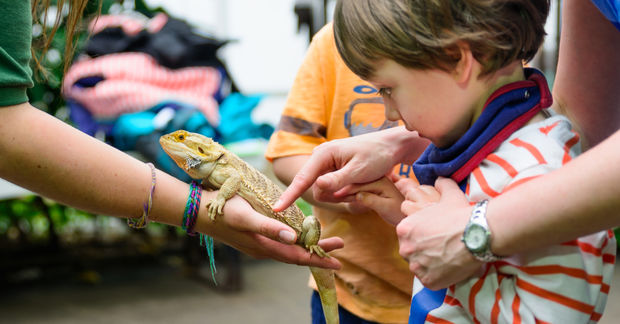 young buy petting an iguana