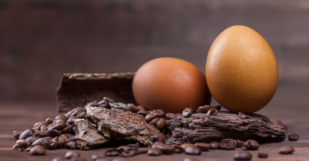 eggs and coffee beans