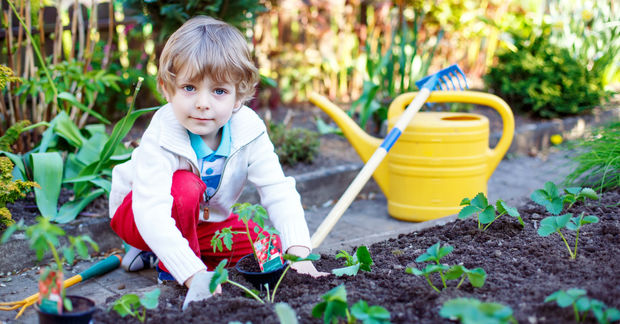 photo Young child planting seedlings in a garden bed with a yellow watering can and green vegetables visible in the background.