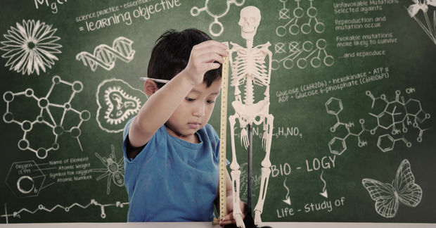 photo Child thinking with hand on head in front of a chalkboard covered with educational drawings including a skeleton, molecules, DNA, and science formulas.