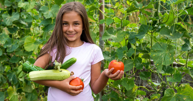 photo Girl holding freshly harvested zucchini and tomatoes in a home vegetable garden, smiling among green plants.