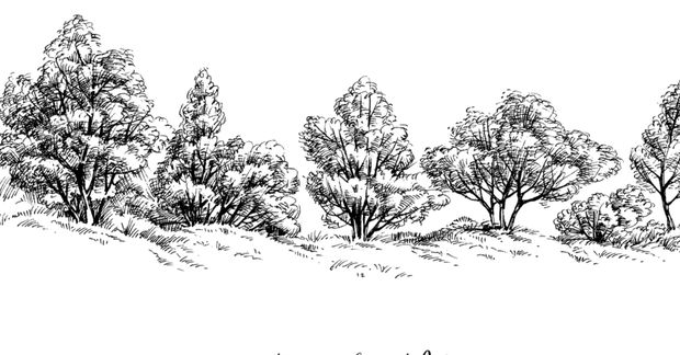Trees