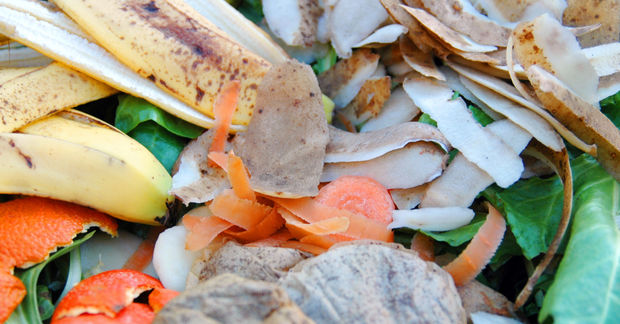 Compost