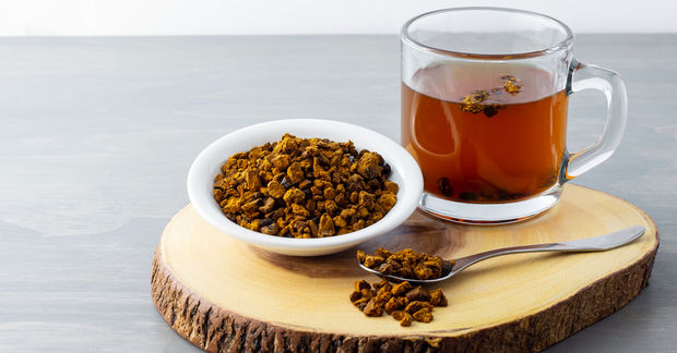 Chaga