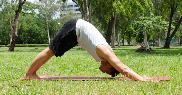 Downward-facing Downward-facing