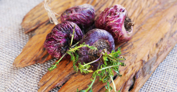 Maca