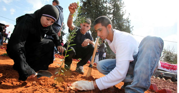 Planting