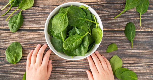 Spinach Hands holding a white bowl filled with fresh spinach leaves on a rustic wooden table, with scattered leaves around.