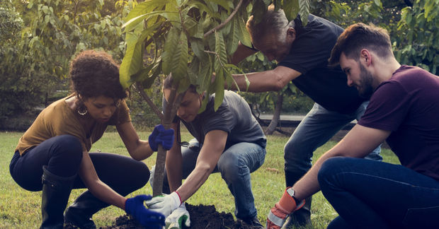 Planting