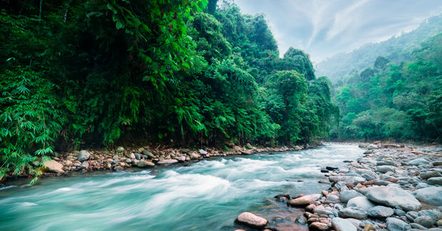 A A running river.