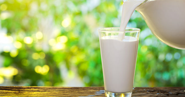 Milk