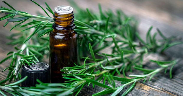 Rosemary