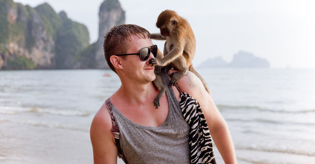 Monkeys
