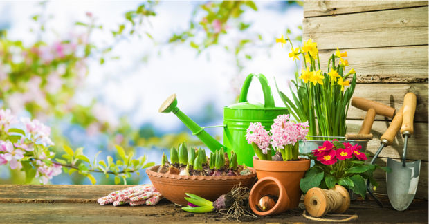 Gardening
