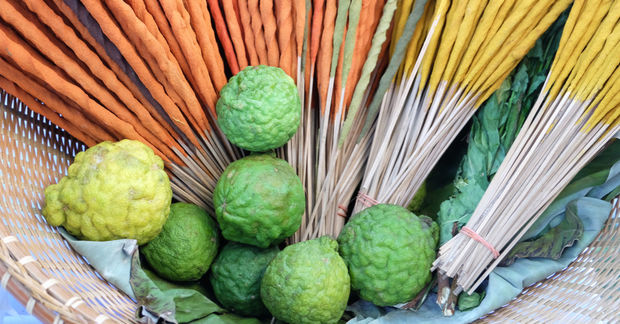 Bergamot