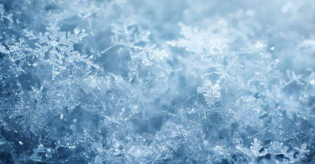 Snowflakes Snowflakes