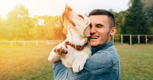 Petting Petting a dog is calming.