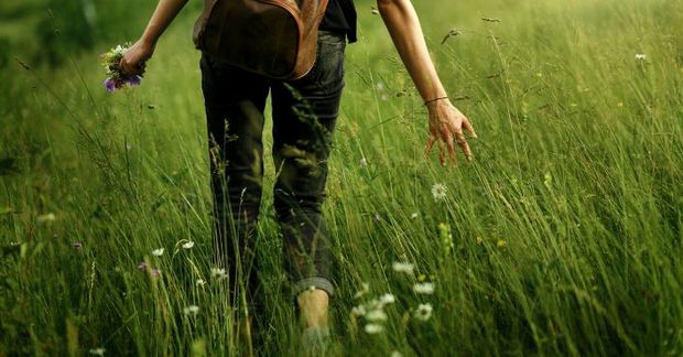 Walking Walking in nature