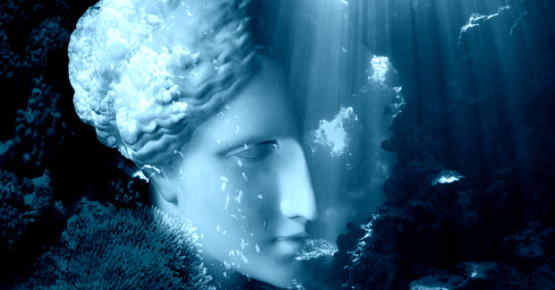 Face