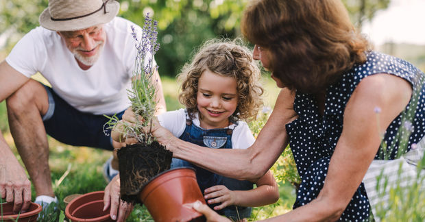 Planting