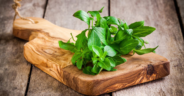 Basil