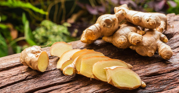 Ginger