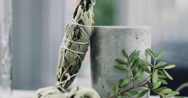 Sage