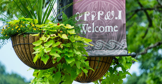 Welcome