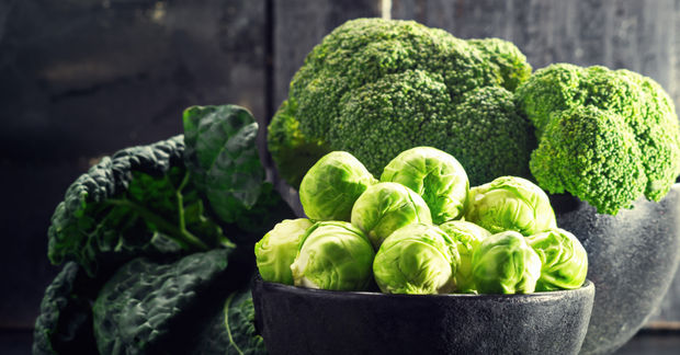 Healthy Healthy