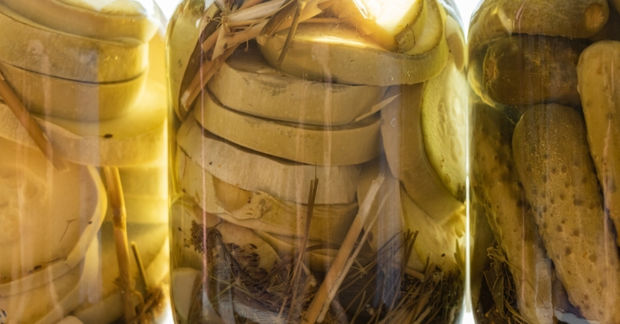 Fermented Fermented
