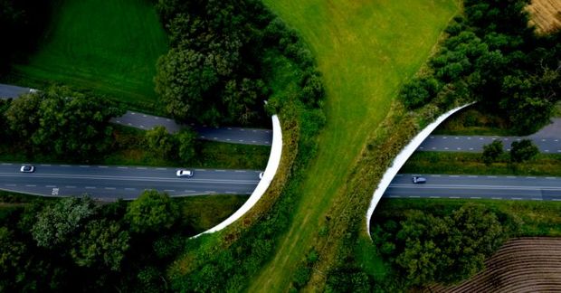 Freeway