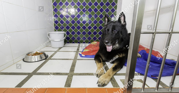 Keep