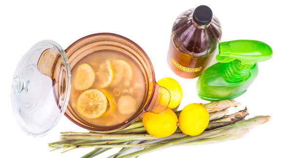 Lemon