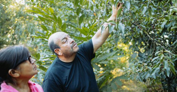 Picking