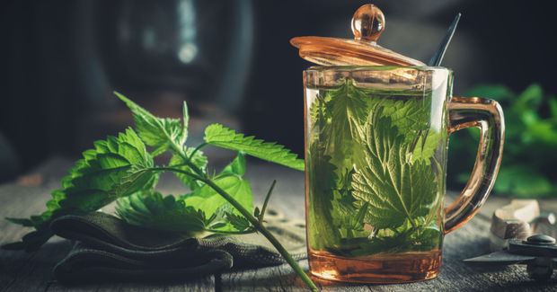 Nettle
