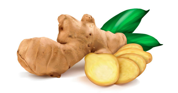 Ginger
