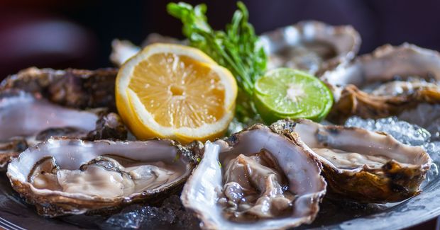 Oysters
