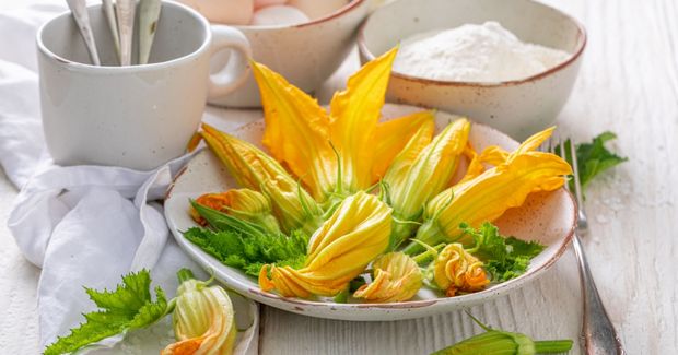 Zucchini