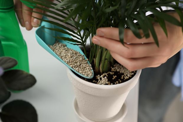 Fertilizing