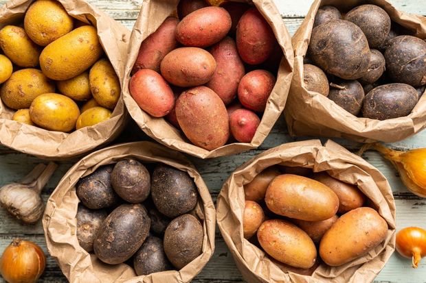 Potato Potato